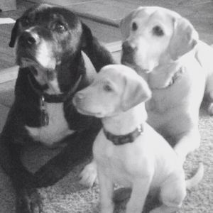 Meet your Posher, Robin