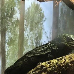 Meet your Posher, Ben