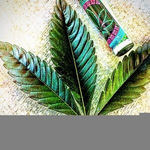 Meet your Posher, Jess