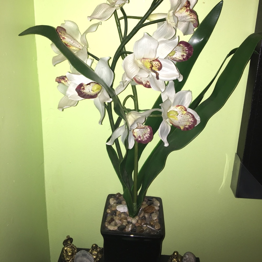 Fake orchid plant