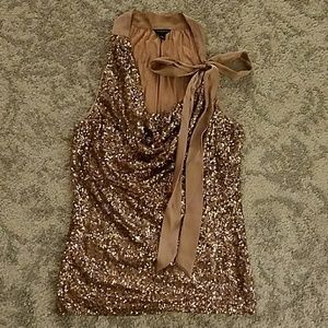 Holiday sparkle Ann Taylor tank