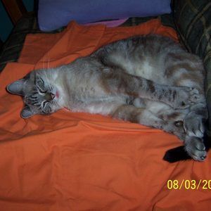 Meet your Posher, Mary