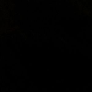 Meet your Posher, Breanna