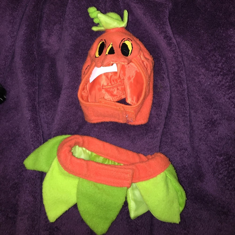 Pumpkin Halloween costume for pet