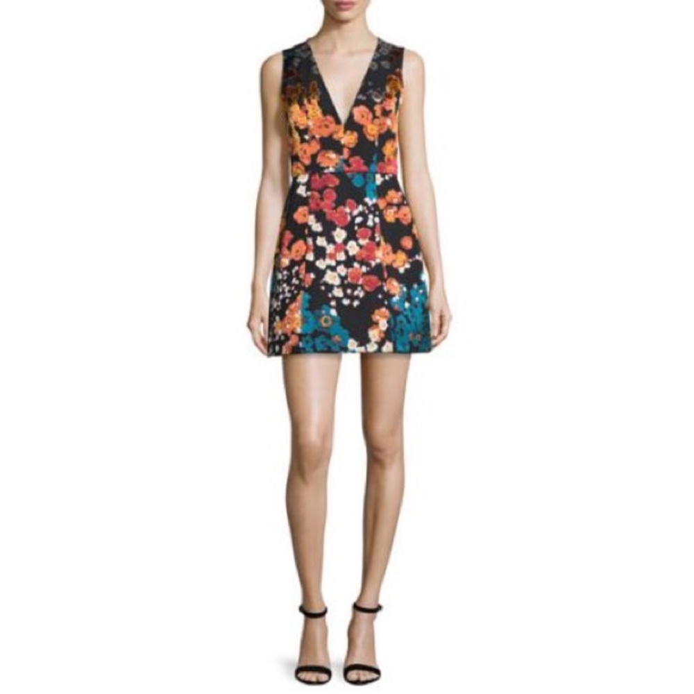 Alice & Olivia Floral Patty Dress