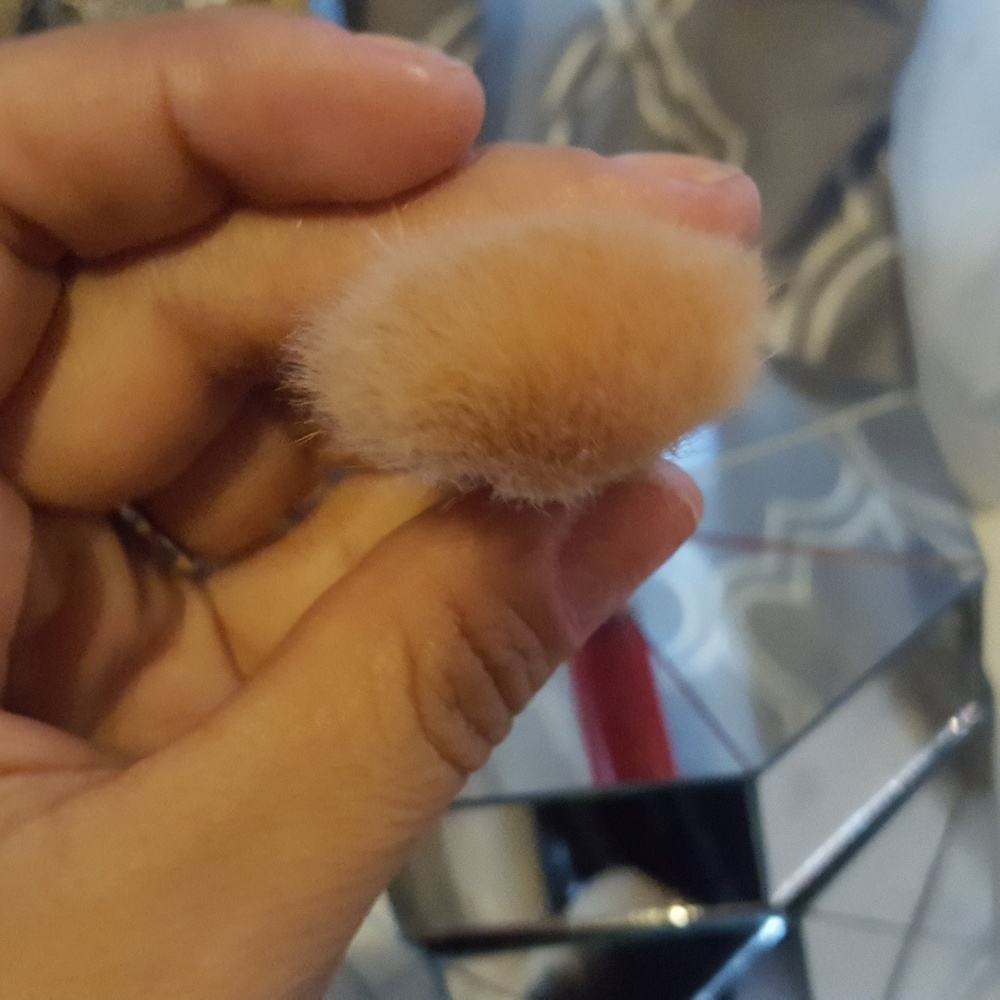 MAC Limited Edition brush😄🖤 - Picture 2 of 3