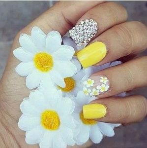 Meet your Posher, Lianna