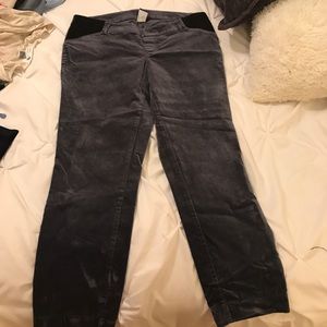 Maternity Straight Leg Pant