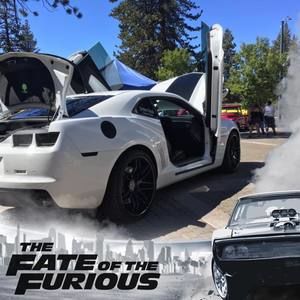 Meet your Posher, Filiberto