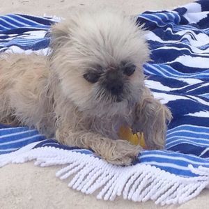 Meet your Posher, Kimberly