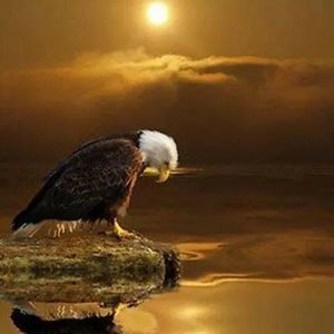 Meet your Posher, Buddy