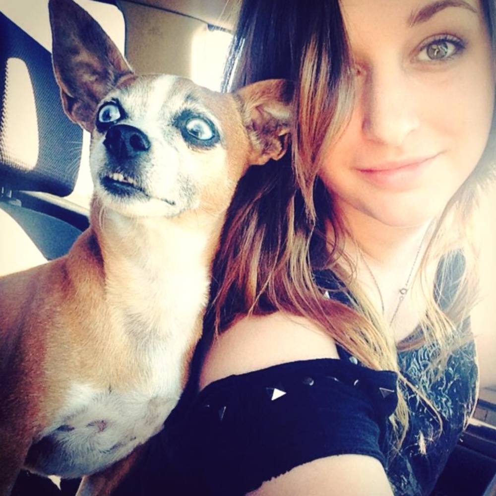 Meet your Posher, Molly