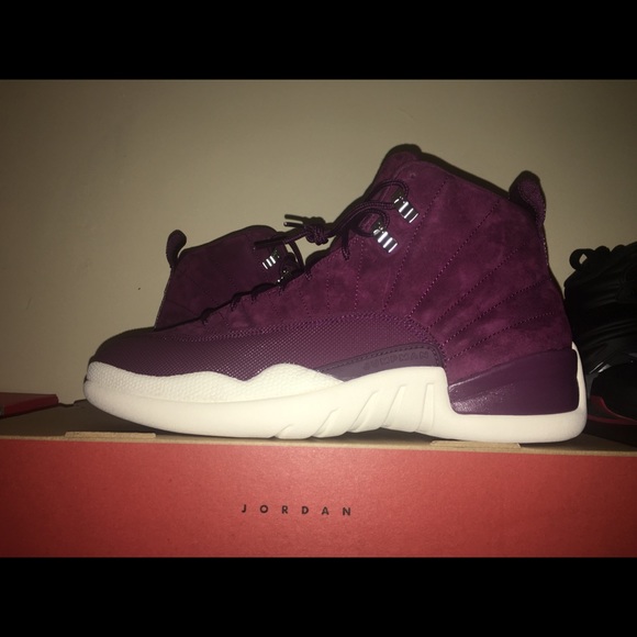 Air Jordan retro 12