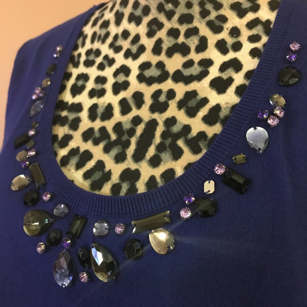 Jeweled Neckline Plum Sweater