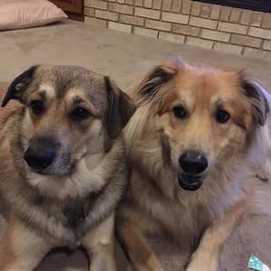 Meet your Posher, Sue