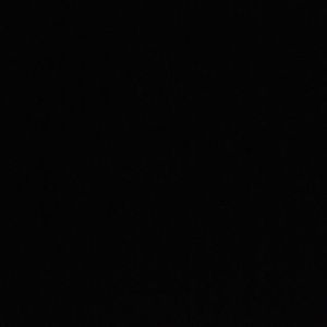 Meet your Posher, Paul