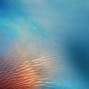 Meet your Posher, Kadyn