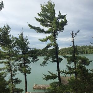 Meet your Posher, Victor