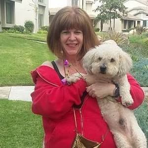 Meet your Posher, Dori