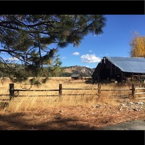 Meet your Posher, Jocelyn