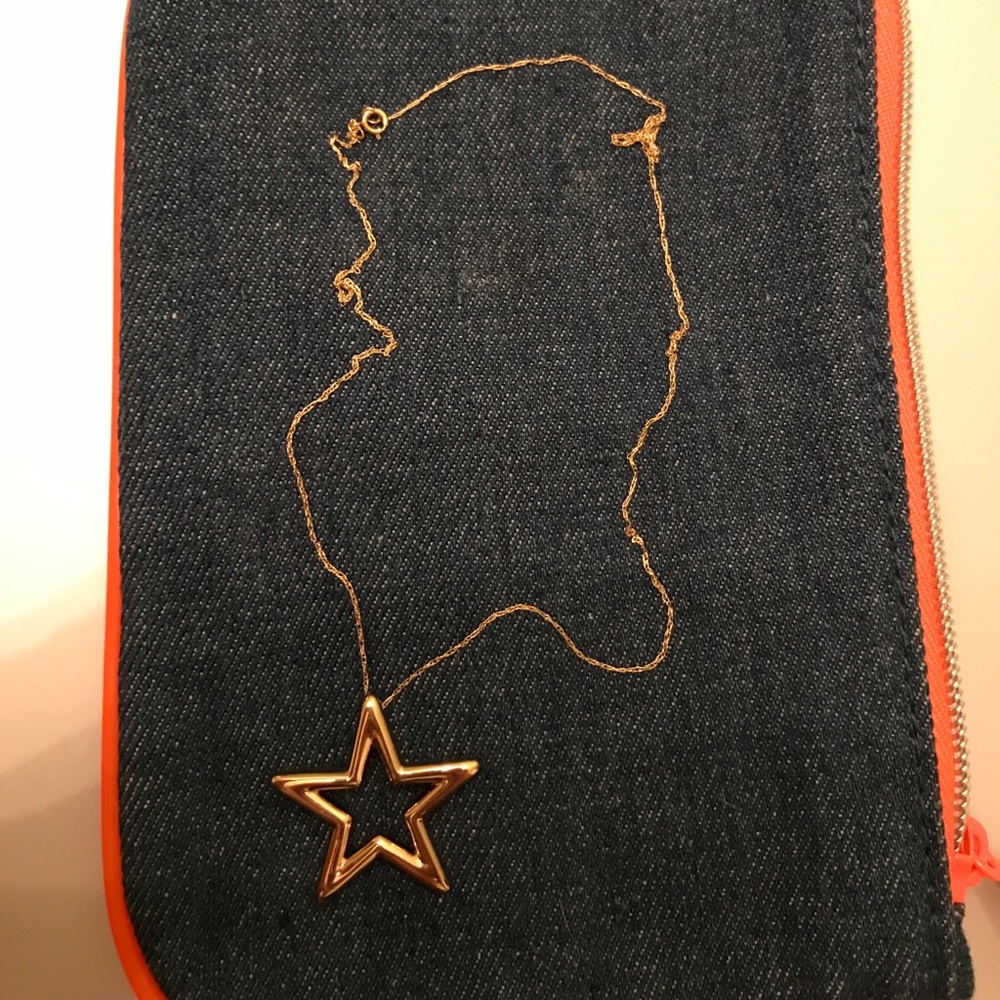 Gold Star Necklace!
