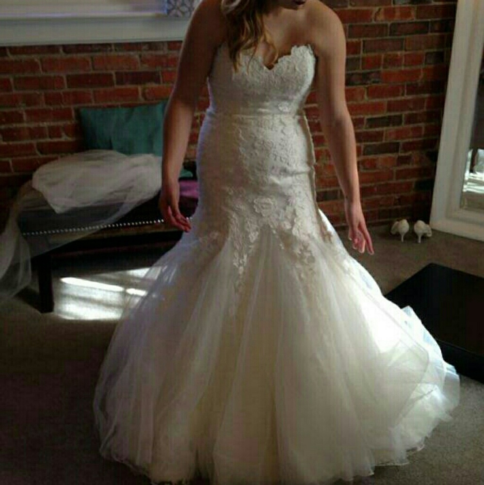 Jasmine Couture fit-and-flare Wedding Gown