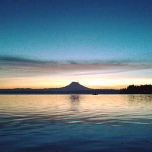 Meet your Posher, Jacklynn