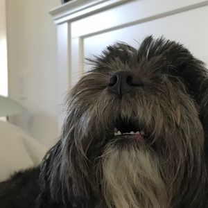 Meet your Posher, Conner