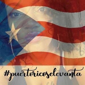 Meet your Posher, Zilkia