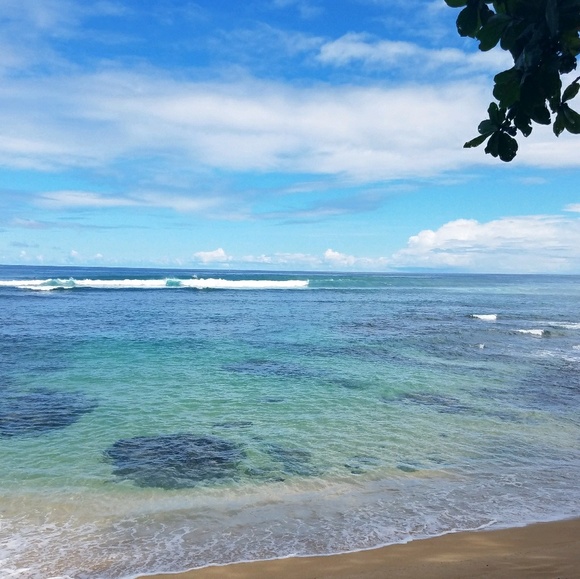 Meet your Posher, Stacey - Picture 1 of 1