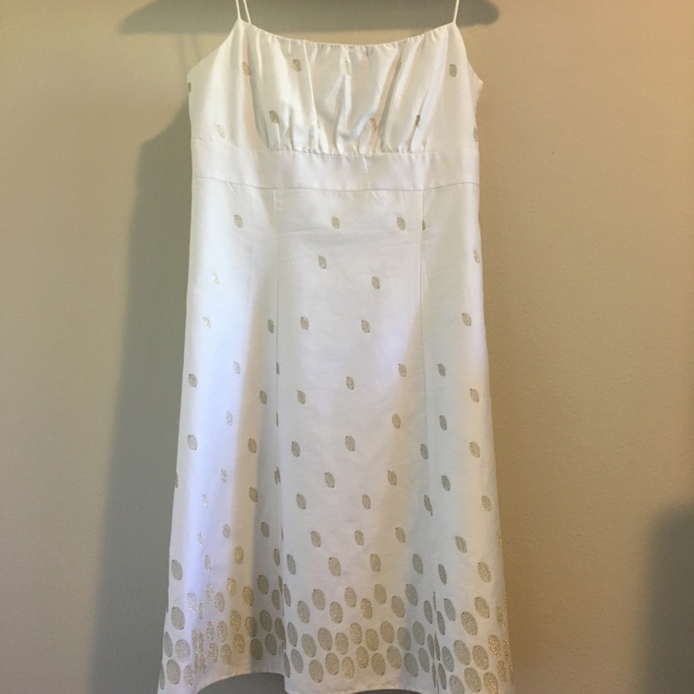 EUC Ann Taylor dress