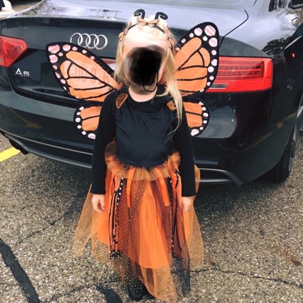 Pottery Barn Monarch Butterfly Costume