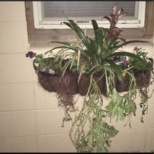 Meet your Posher, Zoe