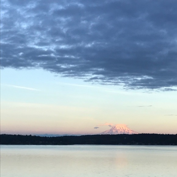 Meet your Posher, Hunter - Picture 1 of 1