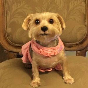 Meet your Posher, Andrea