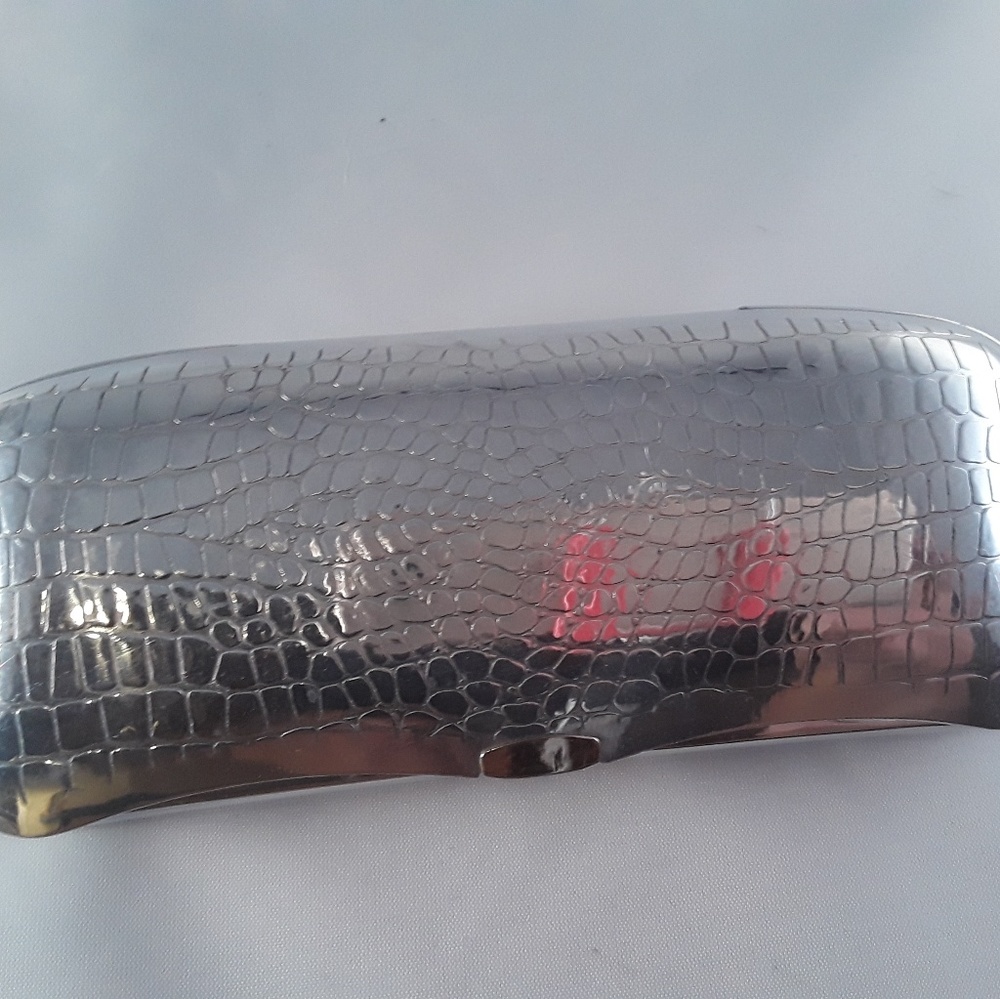 Silver Eyeglass Case