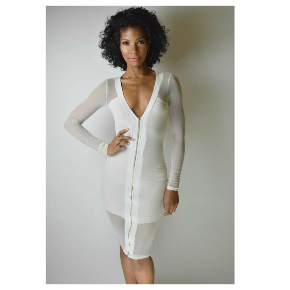 Sheer White Zipper Bodycon Dress