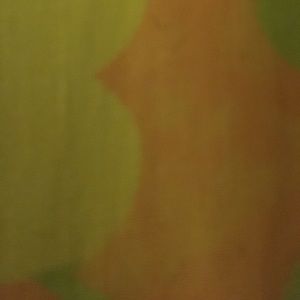 Meet your Posher, Elex