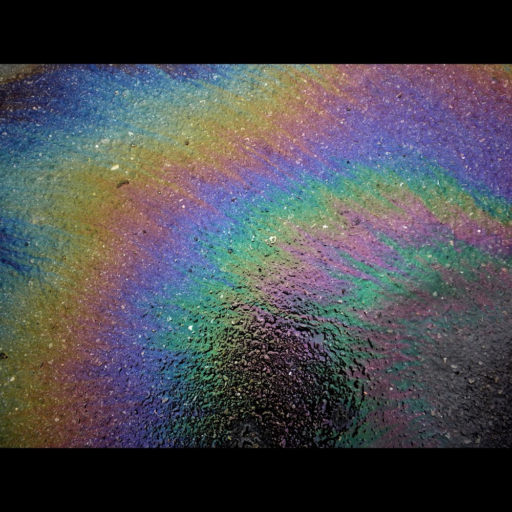 Meet your Posher, Brando