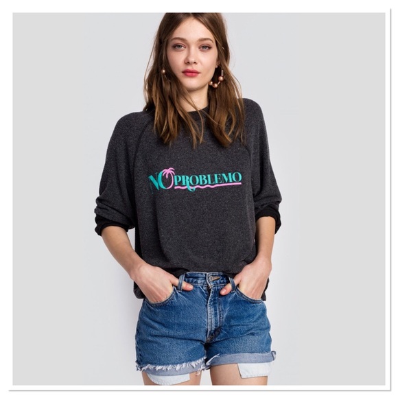 Wildfox Sweaters - Wildfox No Problemo Sweatshirt