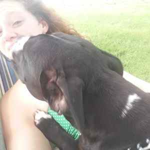 Meet your Posher, Kay