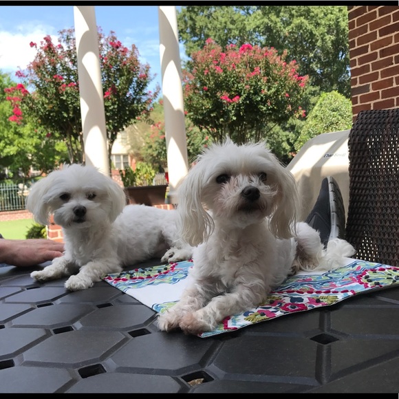 Meet your posher! - Picture 5 of 6