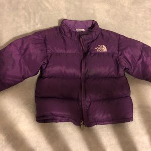 North Face Toddler Girl Puffy Jacket