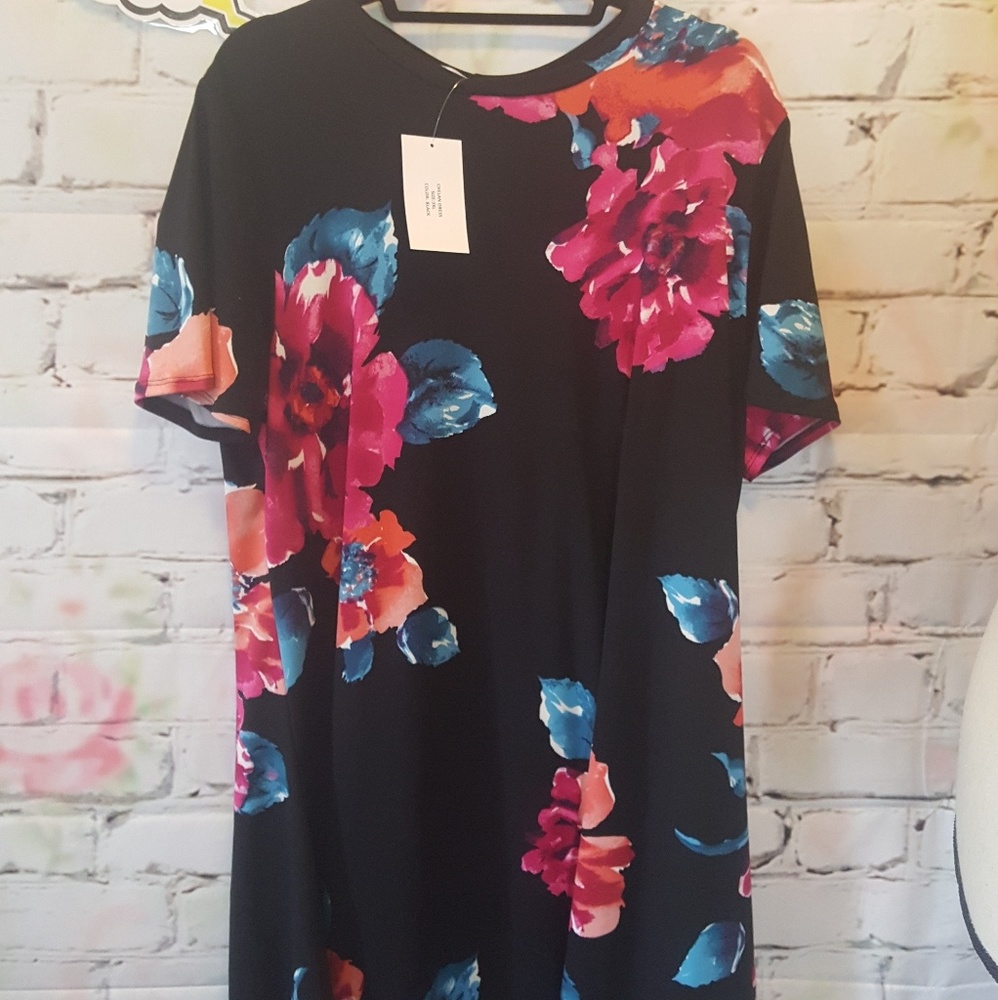 Size 3xl Amelia James Dress