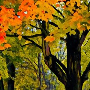 Meet your Posher, Janet