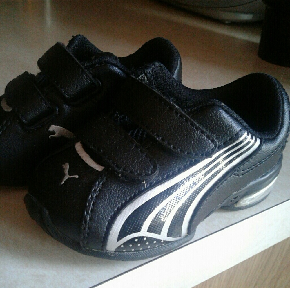 Baby Pumas!!!