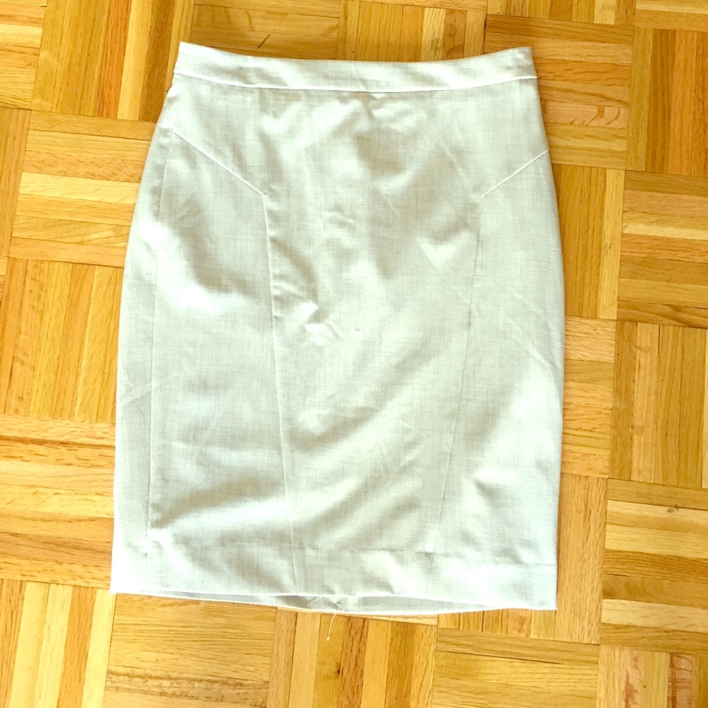 NWT pencil skirt