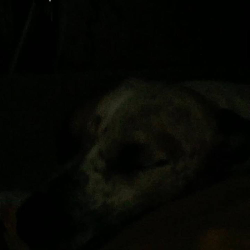 Meet your Posher, Nathan