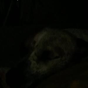 Meet your Posher, Nathan