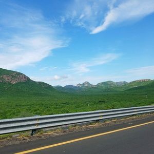 Meet your Posher, Diana